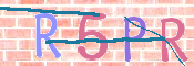 Image Anti-spam